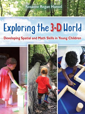 cover image of Exploring the 3-D World